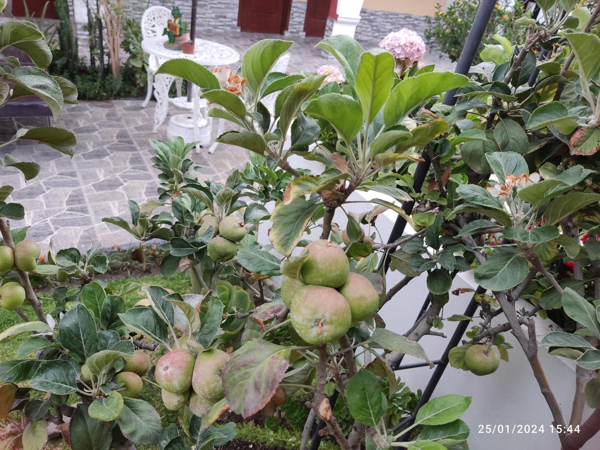 Casa Baraquel Hotel Arequipa Buitenkant foto